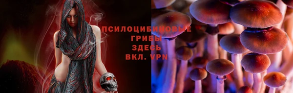 экстази Алексин